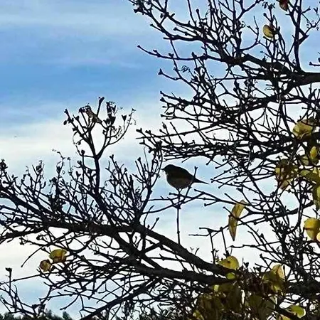 El Sobrao De Gredos Alloggio per agriturismo *