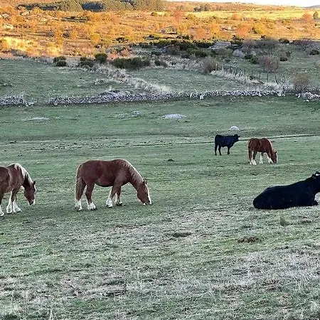 El Sobrao De Gredos Navarredonda de Gredos