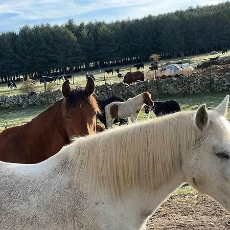 El Sobrao De Gredos * Navarredonda de Gredos