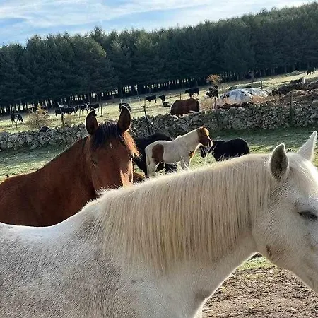 El Sobrao De Gredos * Navarredonda