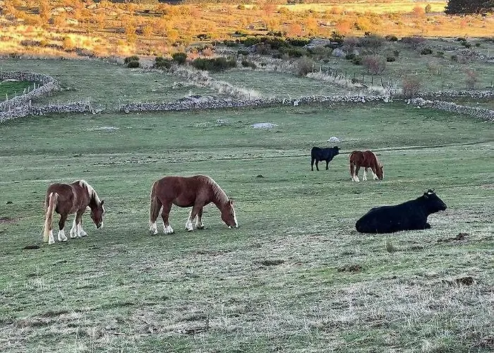 El Sobrao De Gredos 나바레돈다 데 그레도스