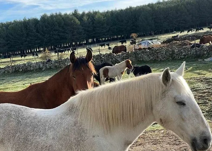 El Sobrao De Gredos * 나바레돈다 데 그레도스